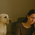 Ako je pas moj muž, dete i terapeut – da li sam ja emocionalni invalid?