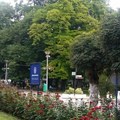 Deveta gitarijada: U parku na obali Dunava nastupa 16 rok-bendova