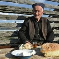 Vek među borovima