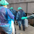 Prvi čovek SZO hitno u Španiji zbog opasnog hantavirusa – evo šta nas čeka!