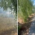 Veliki požar kod Obrenovca: Vatra se približila kućama, vatrogasci na terenu