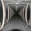 Ušunjao se u vinariju i prosuo 60.000 litara vrhunskog vina vrednog oko 2,5 miliona evra