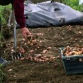 Tražio ključ od traktora, pa zanemeo kada je gurnuo ruku pod zemlju: " Kad sam stavio ruku u blato, već sam mogao da ga…