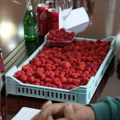 Država daje malinarima subvencionisane kredite kod Poštanske štedionice