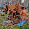 JKP „Mediana“: Sakupljanje lišća sa javnih površina