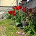 Od kolektivne tuge do sistemske krize: šta se (nije) promenilo od tragedija u Ribnikaru, Duboni i Malom Orašju
