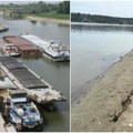 Žito dobro rodilo, ali teško stiže do svetske pijace: Izvoz pšenice se nasukao na plitak Dunav i geopolitiku