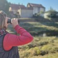 U Zaječaru 4. oktobra organizovano tradicionalno posmatranje ptica