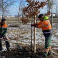 Uspešno završen projekat pošumljavanja „Kragujevac punim plućima“