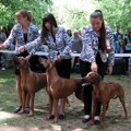 Trinesta međunarodna izložba pasa u Vranju 1. maja
