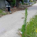 Gradsko groblje prljavo i nesređeno