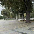 U Srbiji oblačno, ali stiže razvedravanje i topliji dani: Vremenska prognoza za danas i naredne dane