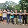 Ovo je najduža ikada izmerena zmija u divljini: Evo gde živi nakon što je i zvanično u Ginisovoj knjizi rekorda (foto, video)…