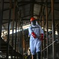 "Ebola se širi neverovatnom brzinom" Panika zbog opakog virusa, novi slučajevi se pojavljuju iz časa u čas: "Situacija je…