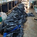 Filmska akcija specijalaca kod Smedereva: Otkrivena mega-laboratorija, šestorica uhapšena na licu mesta!