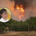 Biološkinja o Deliblatskoj peščari: Nepovratna šteta već napravljena, na tom području - vredne biljke i životinje