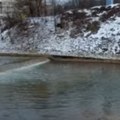 U Miljacki pronađeno beživotno telo Užas u Sarajevu