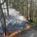 Požar na divljoj deponiji kod Kragujevca stavljen pod kontrolu: Gorelo 10 hektara šume, trave i niskog rastinja (foto)