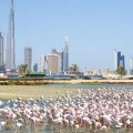 Pakao u Dubaiju! Ovo u aprilu nikad nije viđeno ni u Emiratima - svi građani su HITNO upozoreni!