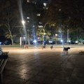 „Rešenja na papiru, ujedi u stvarnosti“ – još jedan napad pasa u bulevarskom parku u Nišu