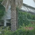 "Ceo apartman je bio ispunjen gasom, a: Onda..." Novi detalji jezive eksplozije plinske boce u Asprovalti: Srbin napravio…