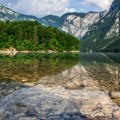 Štene se okupalo u Bohinjskom jezeru, sat vremena kasnije bilo je mrtvo: Šta se događa sa slovenačkim biserom?