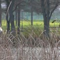 Sutra posle podne naoblačenje, uveče kiša, idućih dana temperatura u padu