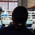 Miloš Cvjetićanin pravio šou u Obrenovcu! Pogledajte kako je najbolji srpski kik-bokser navijao za Nikolića