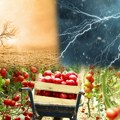 Evropa plaća visoku cenu za klimatske ekstreme: Najveći teret pada na državne budžete