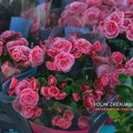 Počela Cvetna pijaca u Zrenjaninu: Bogata ponuda i lepo vreme, kupci za sada nešto oprezniji Cvetna pijaca u Zrenjaninu