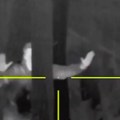 "Ne žele da pucaju" Otkrivena strašna istina o ukrajinskim oružanim snagama