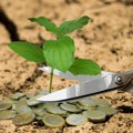 U prvih pet meseci spoljnotrgovinski deficit uvećan za 16,7