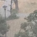 "Kao u horor filmu!" Pevačica objavila uznemirujući snimak: "Moj auto je ispod drveta!" (video)