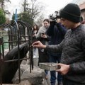 Slonica iz Engleske i tri sestre medvedice iz Mađarske stižu novi stanovnici Beo Zoo vrta