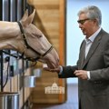 Čudesna Akžan: "Čista duša" kao brend Velike stepe, Astane i Kazahstana