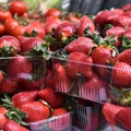 Republika Srpska zabranila uvoz dve pošiljke jagoda iz Albanije