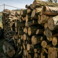 U Srbiji posečeno 3,3 miliona kubika drveta! Najviše stabala upotrebljava se za ogrev