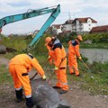 Redovno uređenje javnih površina i blokovskog zelenila