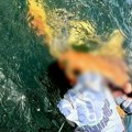 Jezivo otkriće u okeanu Iz dubina izronilo narandžasto čudovište sa belim očima, prizor kao iz filma naučne fantastike! (foto)…