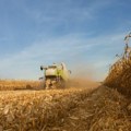 Suša i mraz osakatili poljoprivredu: Stradali voće, povrće, kukuruz, suncokret... praktično sve osim pšenice