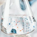 Plastika iz hrane i vode završi u mozgu: Naučnica otkrila na koji način unosimo štetne materije u organizam