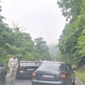 Palo drvo na Iriškom vencu: Formirane kolone iz pravca Novog Sada