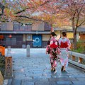 Japan plaća građane da prijavljuju ilegalne radnike: Za dojavu nude novčanu nagradu