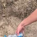 Призор из Пешчаре који тера сузе на очи: Ватрогасац поји водом уплашено и немоћно младунче шакала; животиња се препустила…