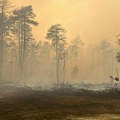 Novosađani prikupljaju pomoć za ugrožene u požarima