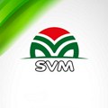 Marton pozvao SVM na konkretan potez: „Raskinite savez sa naprednjacima i radikalima“