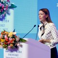 Mesarović: Želimo što više investitora iz provincije Đangsu