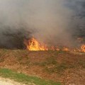 U Boru proglašena vanredna situacija. U Pirotskom naselju vatra došla do dvorišta vikendica