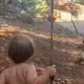 Marija Šerifović na tajnoj lokaciji sa sinom Pridružio im se poseban gost: Ovu divlju životinju nisu očekivali na plaži…