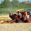 Na Produktnoj berzi u Novom Sadu skuplji pšenica, kukuruz i uljana repica